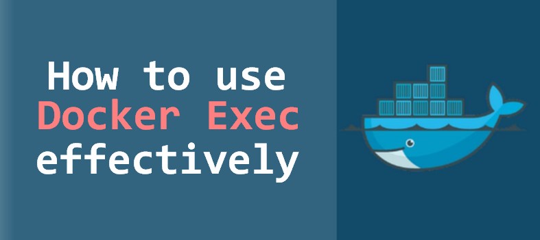 Docker Exec Command  Tutorial with Examples  buildVirtual