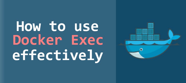 Docker Exec Command Use